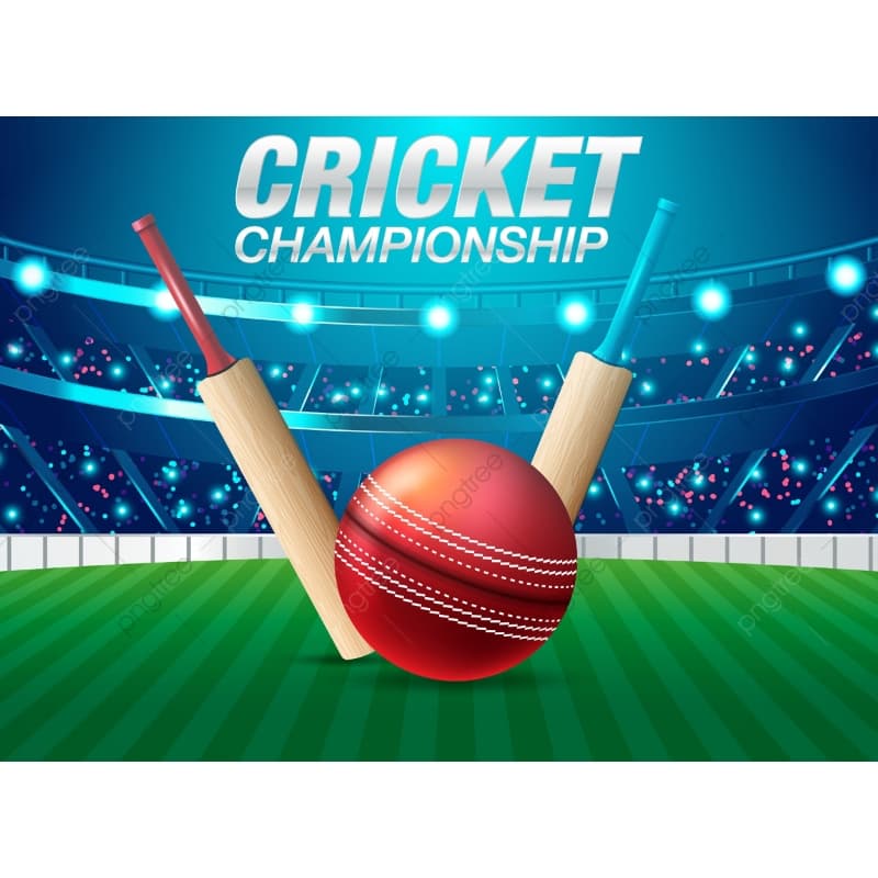 We BULD your cricket game online