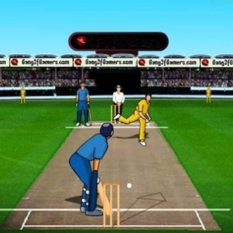 We BULD your cricket game online