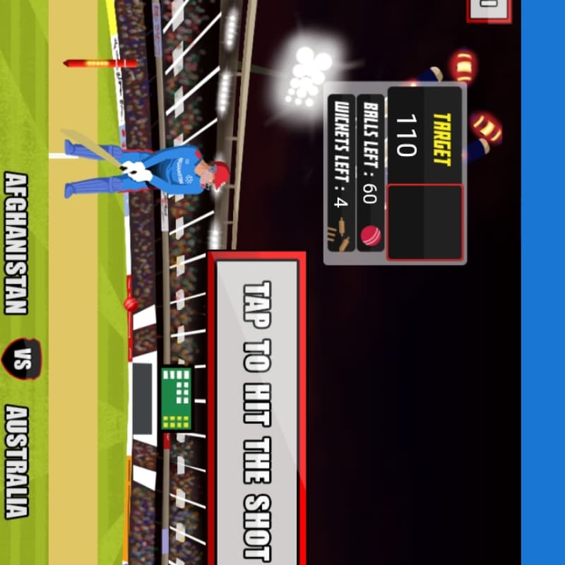 We BULD your cricket game online