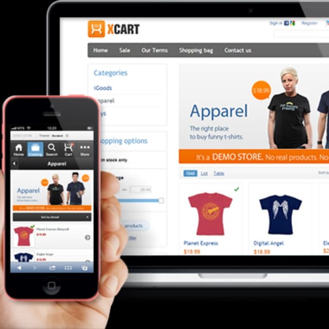 WE ARE BULD YOUR E-COMMERCE WEBSITE FOR YOUR BUSINESS YOU CAN SALE YOUR PRO